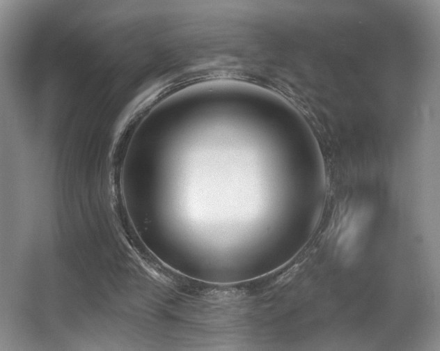 X0000066990245200603241323