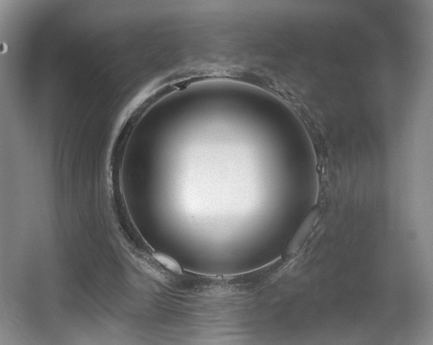 X0000066990246200603241323