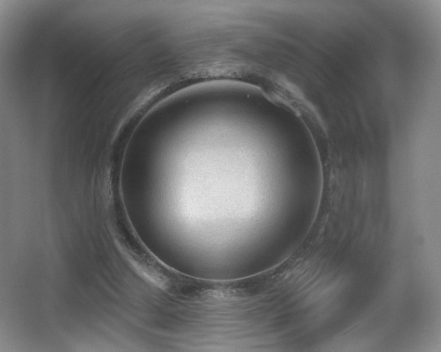 X0000066990250200603241323