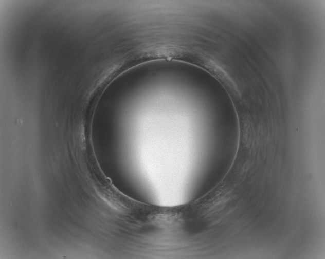 X0000066990251200603241324