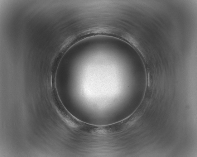 X0000066990253200603241324