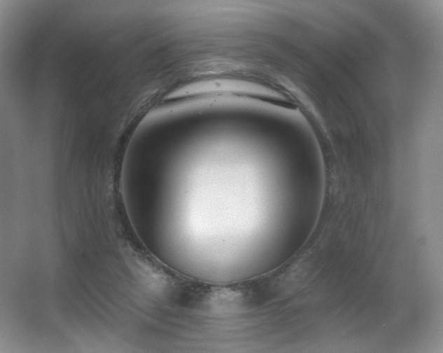 X0000066990257200603241324
