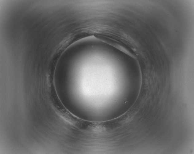 X0000066990258200603241324