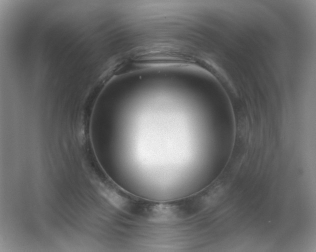 X0000066990261200603241324