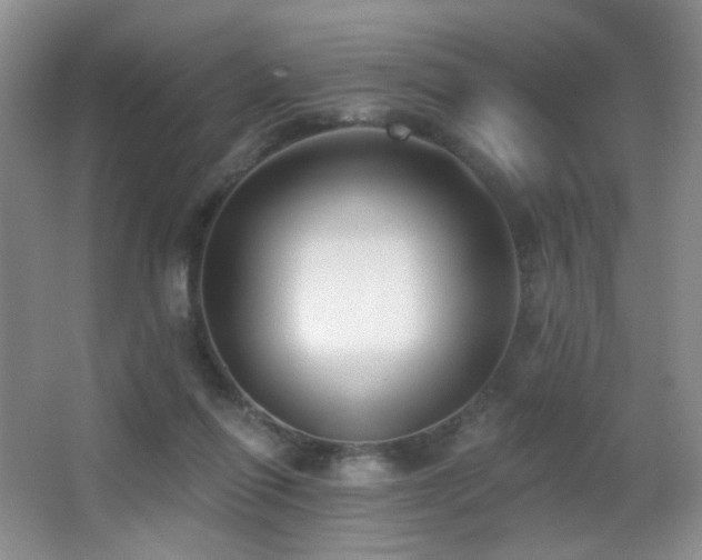 X0000066990262200603241324