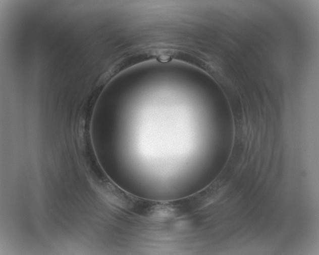 X0000066990263200603241324