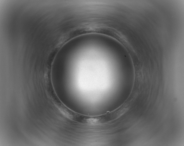 X0000066990265200603241324