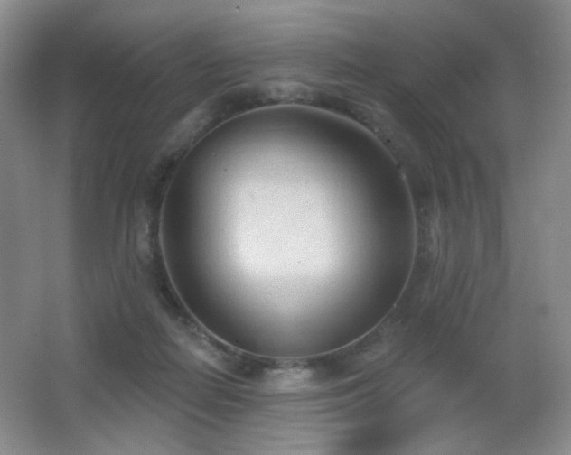 X0000066990266200603241324