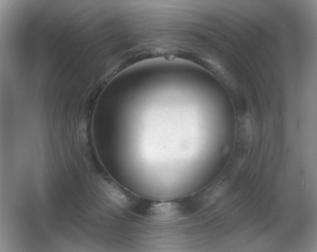 X0000066990269200603241324