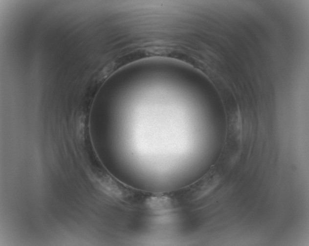 X0000066990271200603241324