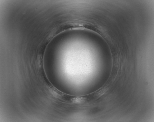 X0000066990273200603241324