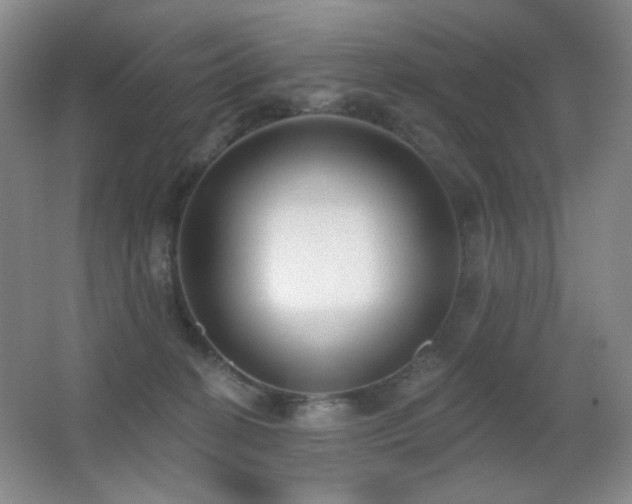 X0000066990274200603241324