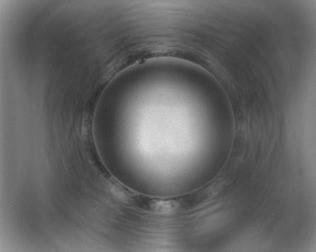 X0000066990277200603241324