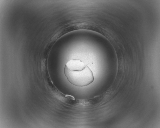 X0000066990278200603241324
