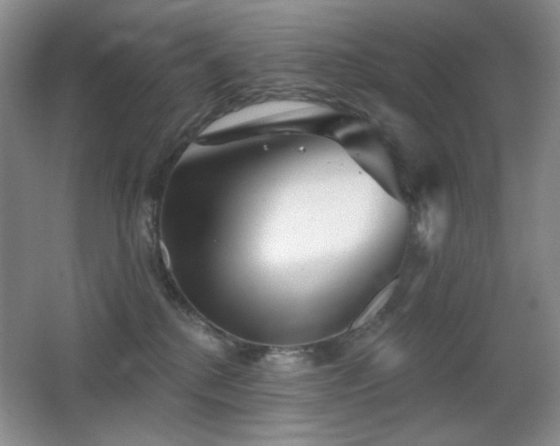 X0000066990280200603241324