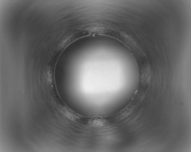 X0000066990282200603241324