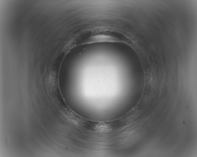X0000066990283200603241324