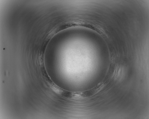 X0000066990285200603241324