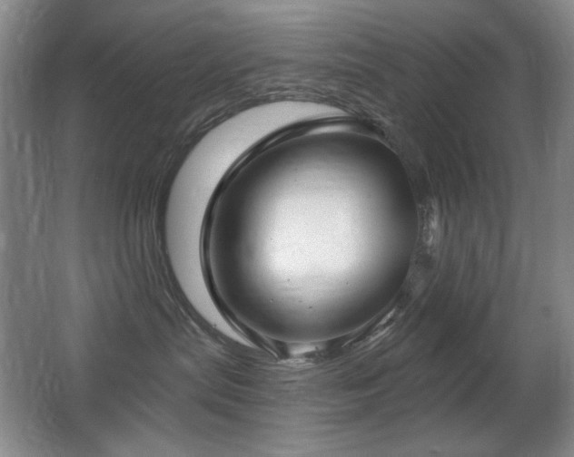 X0000066990287200603241324