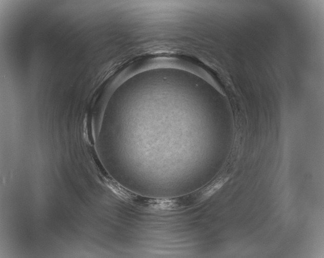 X0000066990288200603241324