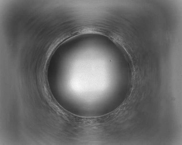 X0000066990289200603241323