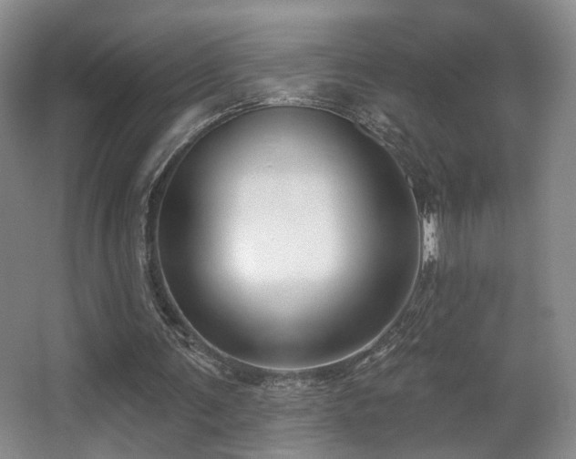 X0000066990291200603241323