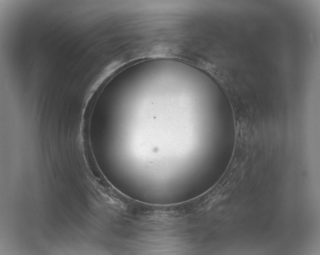 X0000066990292200603241323