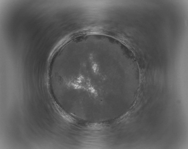X0000066990293200603241323