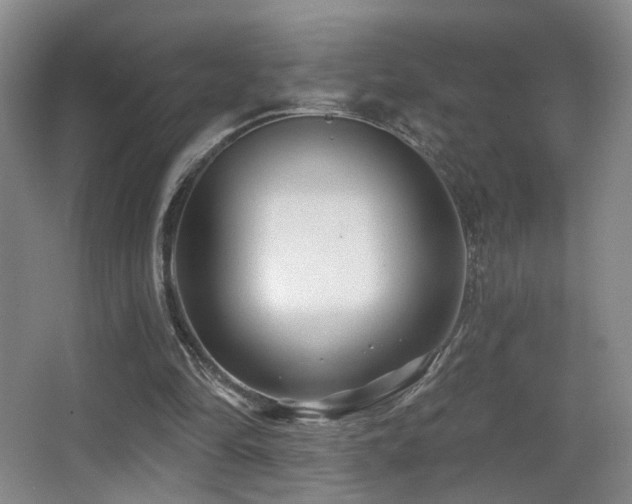 X0000066990294200603241323