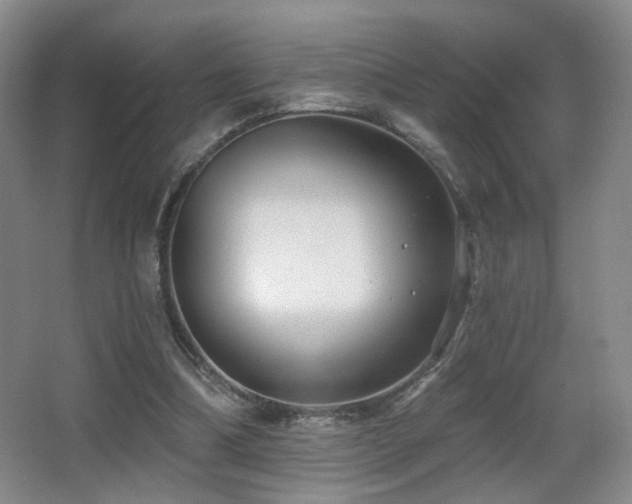 X0000066990298200603241323