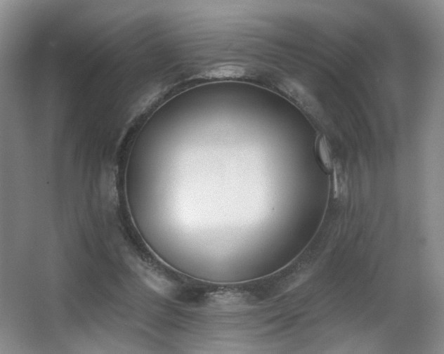 X0000066990300200603241323