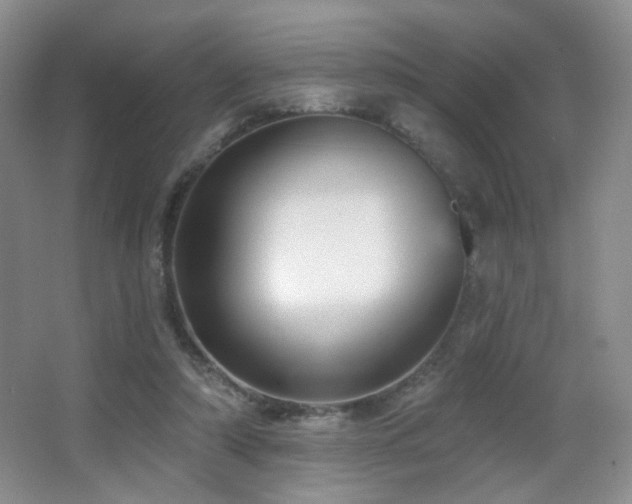 X0000066990306200603241323