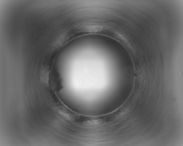 X0000066990307200603241323