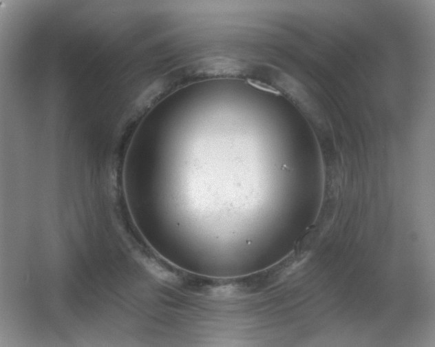 X0000066990309200603241323