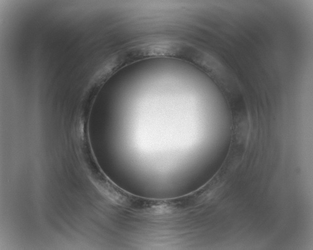 X0000066990310200603241323