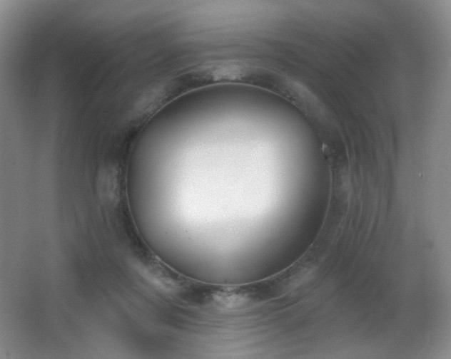 X0000066990311200603241323