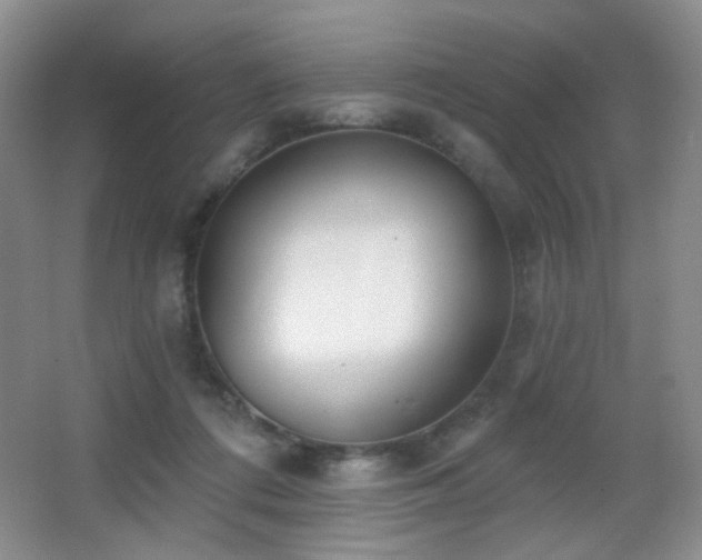 X0000066990312200603241323