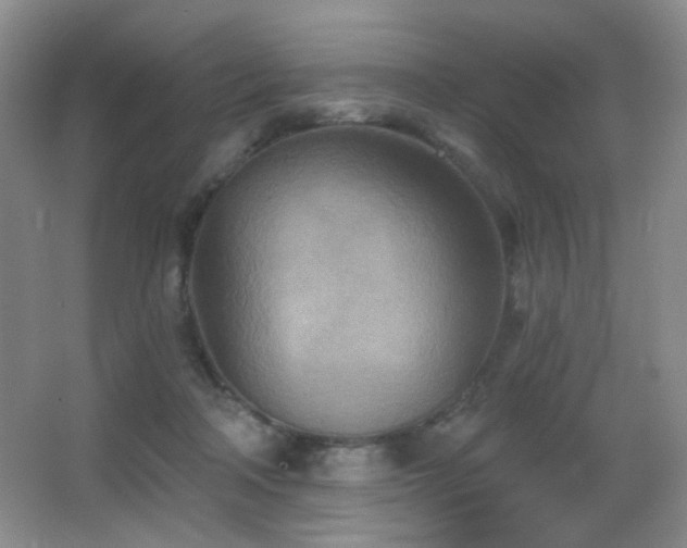 X0000066990314200603241323