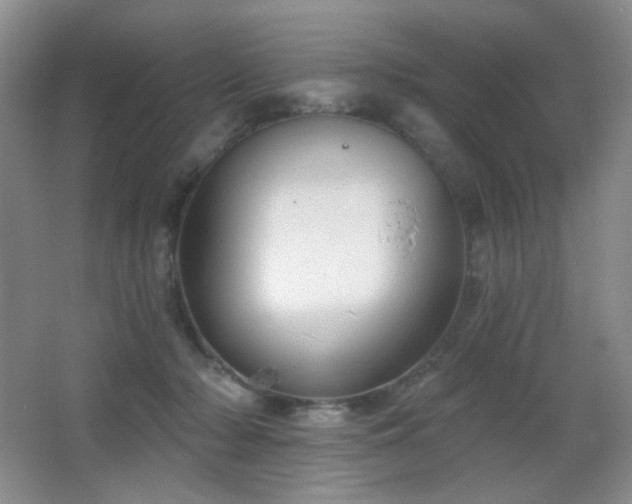 X0000066990318200603241323