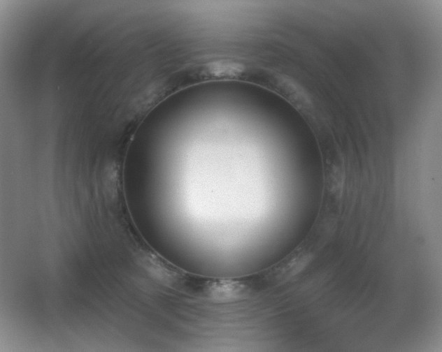 X0000066990321200603241323