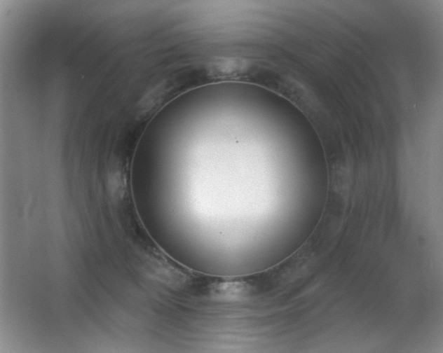 X0000066990324200603241323