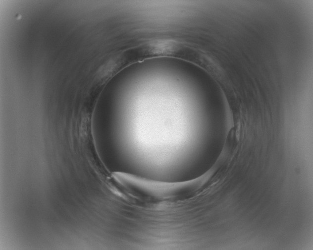 X0000066990325200603241323