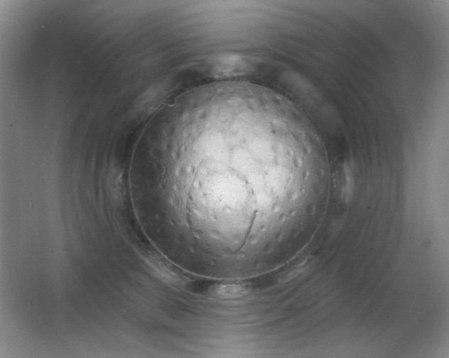 X0000066990327200603241323