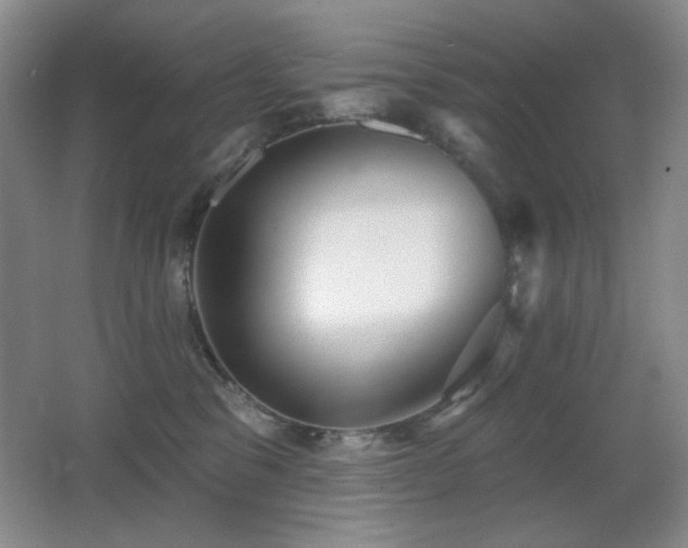 X0000066990329200603241323