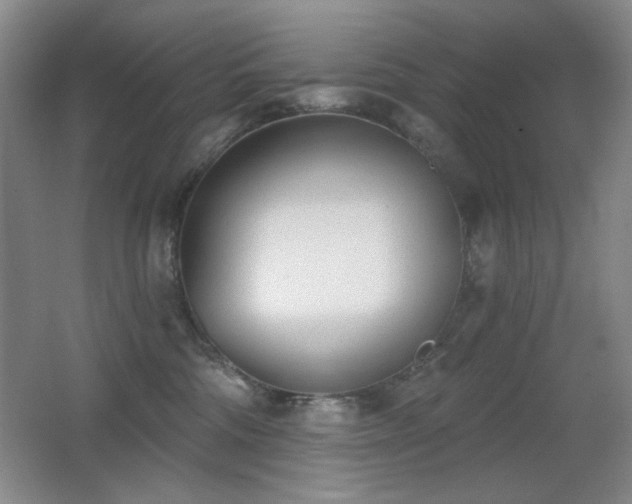 X0000066990330200603241323