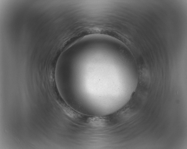 X0000066990331200603241323