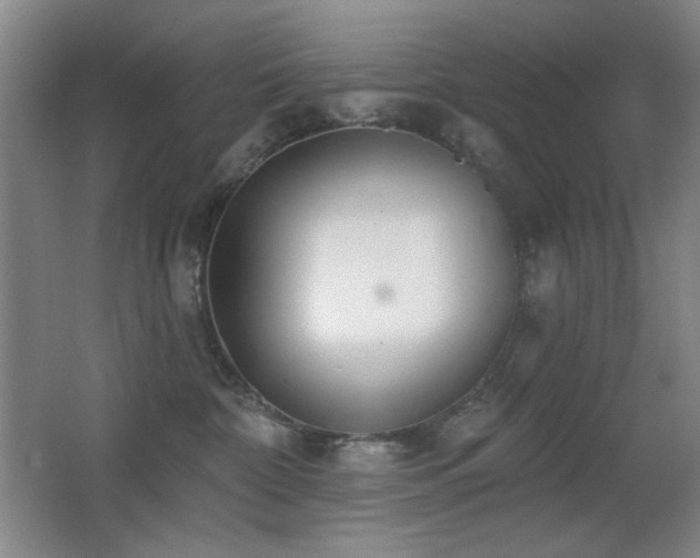 X0000066990332200603241323
