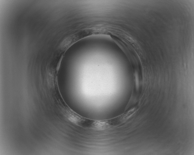 X0000066990333200603241323