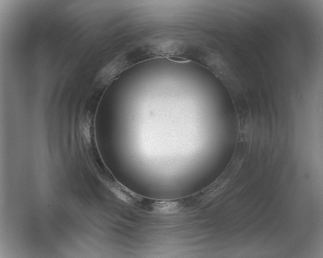 X0000066990334200603241323
