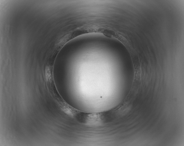 X0000066990335200603241323